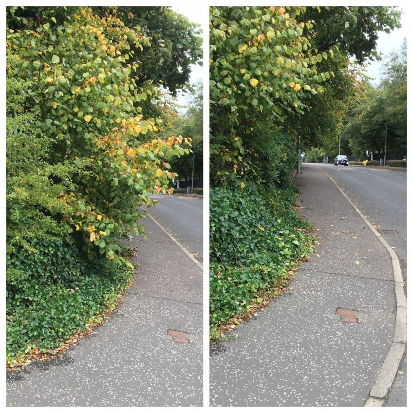 Before and after at Huntershill